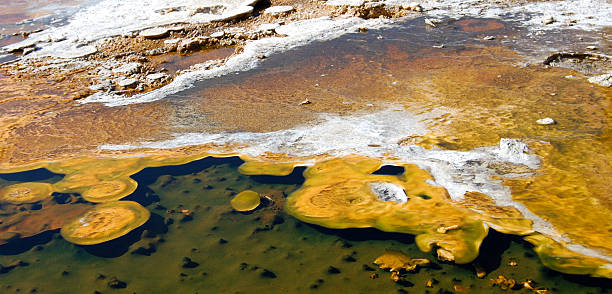istock Yellowstone yellow mineral hot pool 462530921