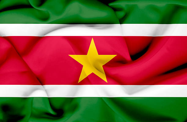 istock Suriname waving flag 462531597