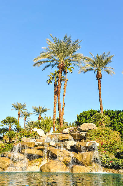 istock Pool of water with palm trees in a row 462532795