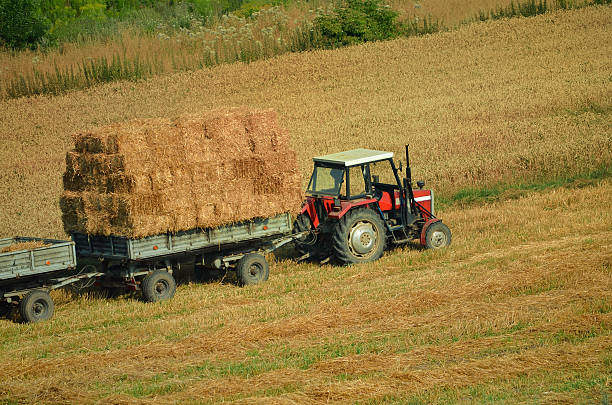 hay bales all stacked ready to go