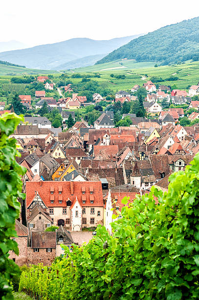 istock Village in the Vineyard 462536355