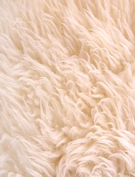 White lambskin as background, vertical