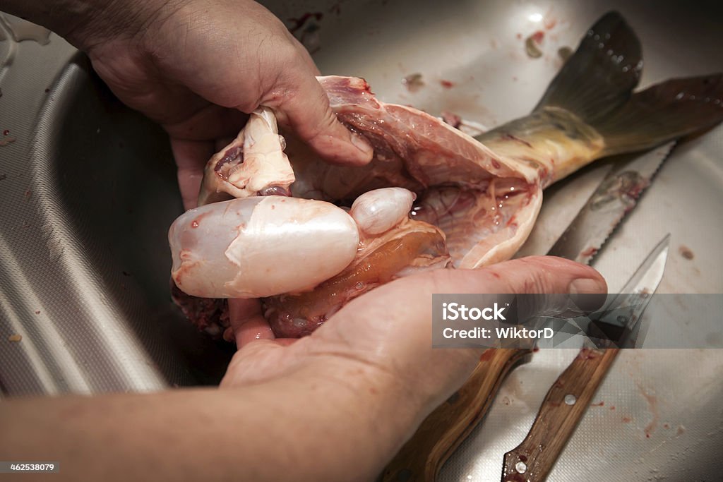 Carp fish preparation Traditional Polish Christmas dish Adult Stock Photo