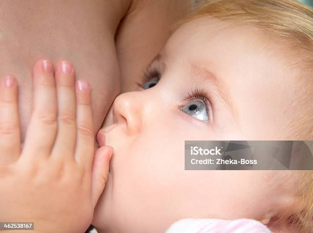 A Baby Breast Feeding On His Mother Stock Photo - Download Image Now - Adult, Baby - Human Age, Breast