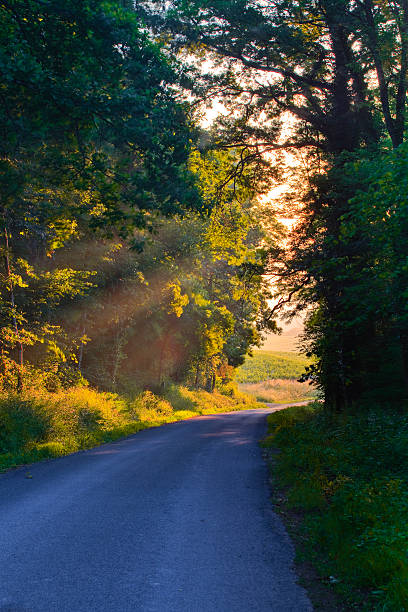 istock French country lane 462539513