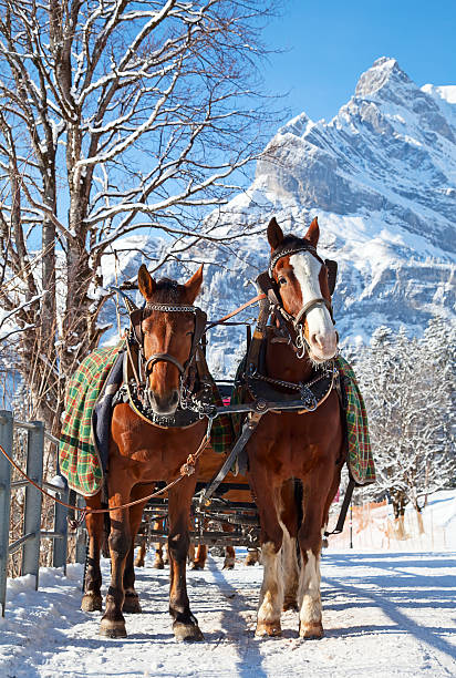 istock Winter in the alps 462541311