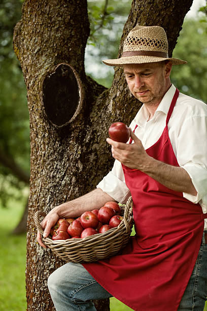istock fruit grower in his orchard tasting apple harvest 462541733