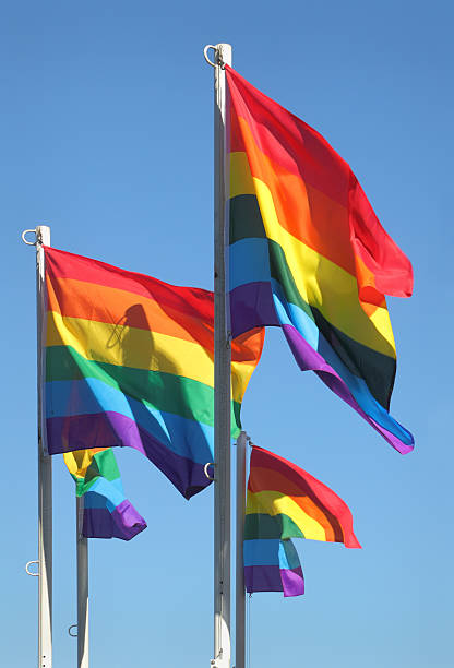 istock Gay Pride Flags, Vancouver, British Columbia 462548247