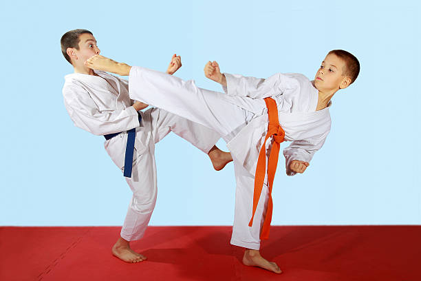 istock Paired exercises performed by athletes with blue and orange belt 462552311