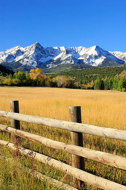 istock Dallas Divide, Uncompahgre National Forest, Colorado 462553047