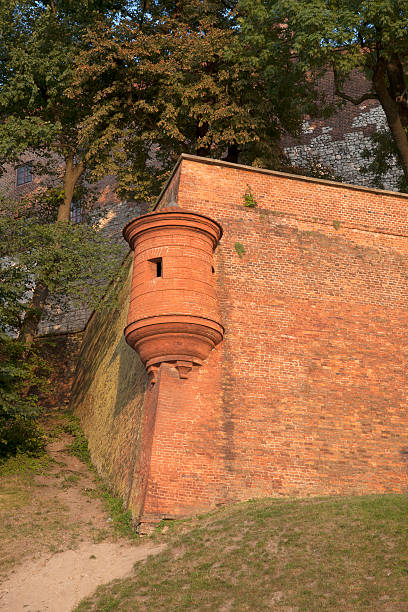 istock Wall, Wawel Hill; Krakow 462557265