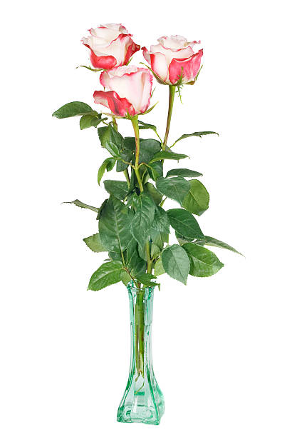 istock Three roses in glass vase 462563945