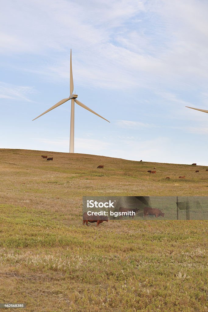 Prairie Windmills Windmills in the prairies at Sunrise, Alberta Canada Agricultural Field Stock Photo