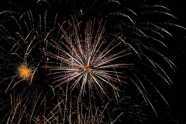 istock Beautiful fireworks lighting up the nigt sky 462570017