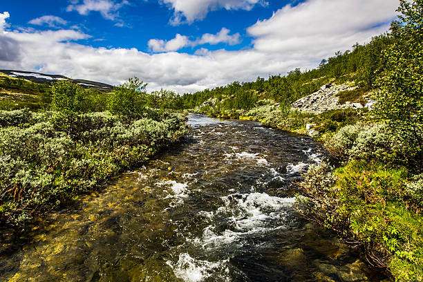 Rondane Norway mountain river stock photo