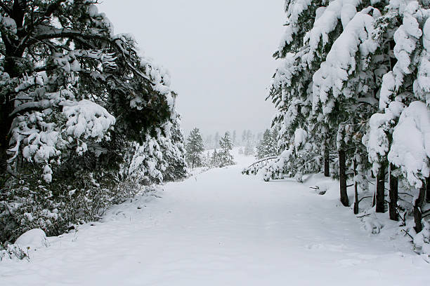 Cтоковое фото Снег скрытой lane