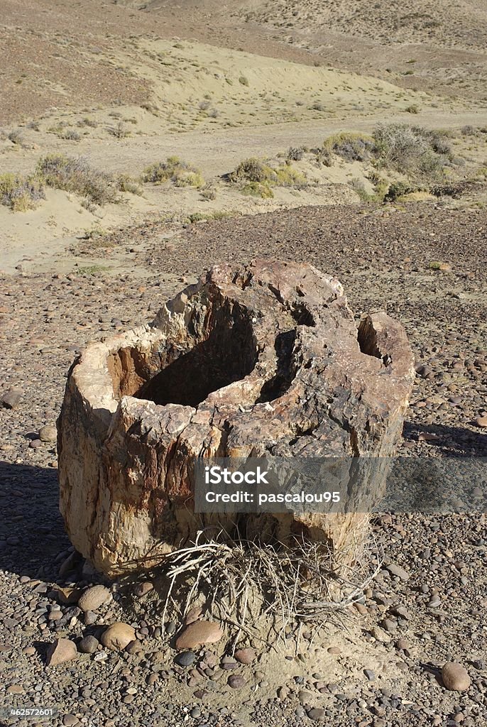 Petrified forest in Patagonia Petrified forest in the Sarmiento national park in Patagonia, in Argentina Ancient Stock Photo