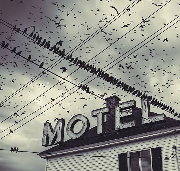 A flock of birds surround an abandoned Motel.  Toned black and white.