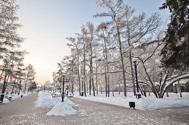istock Snow-covered alley in a winter park 462576981