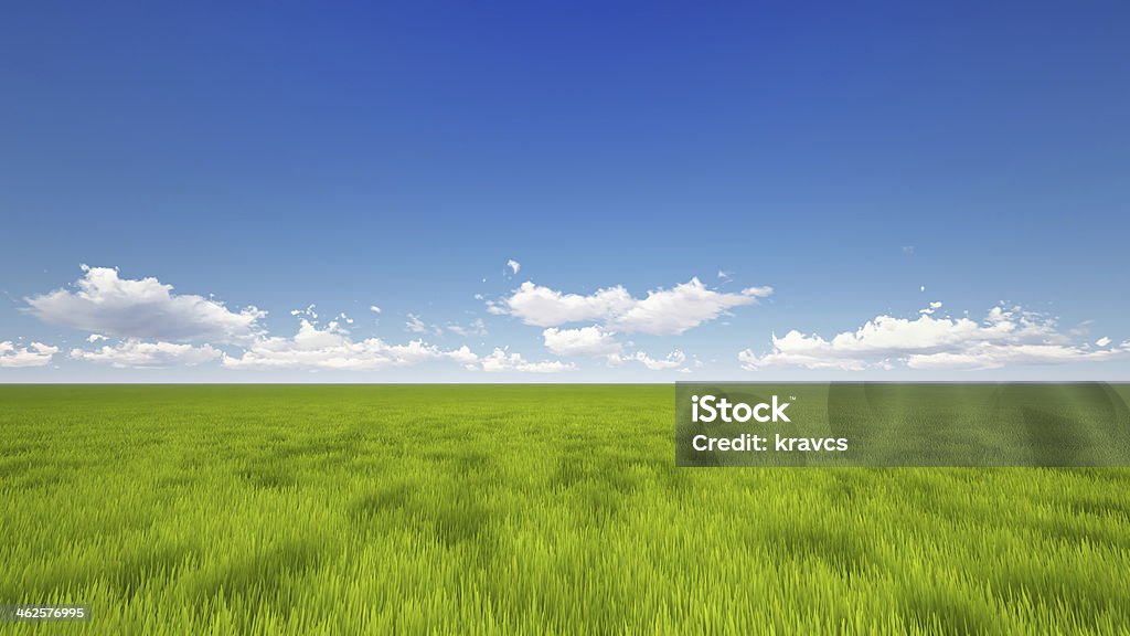 Vast green field with blue sky A field of green grass gives way to the blue sky at the horizon.  The sky is clear with the exception of some low-hanging fluffy clouds. Agricultural Field Stock Photo