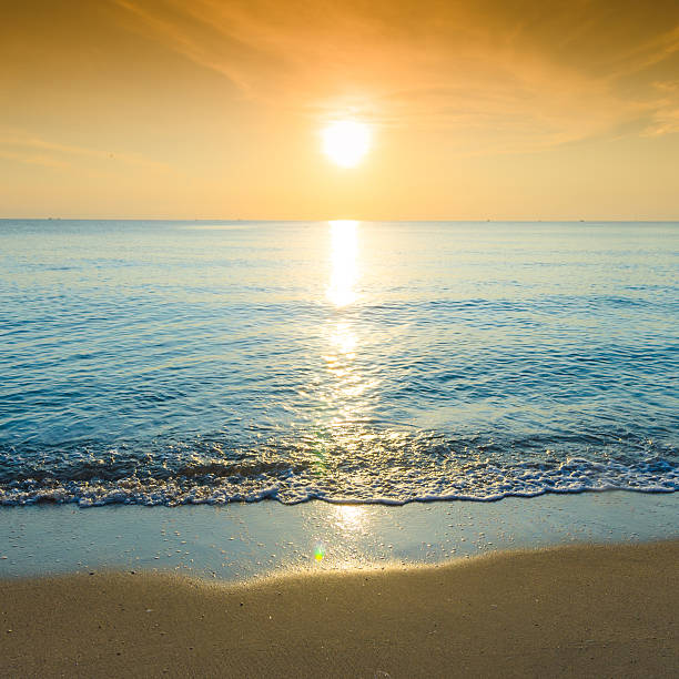istock Beautiful tropical sand beach against the blue sky. 462580189