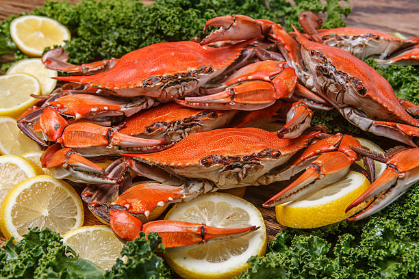 istock Steamed Blue Crabs on a wooden table 462580465