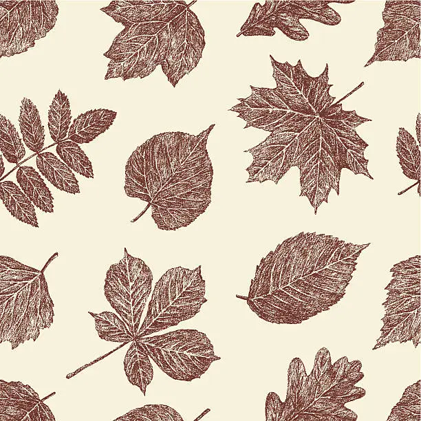 Vector illustration of pattern of autumn leaves