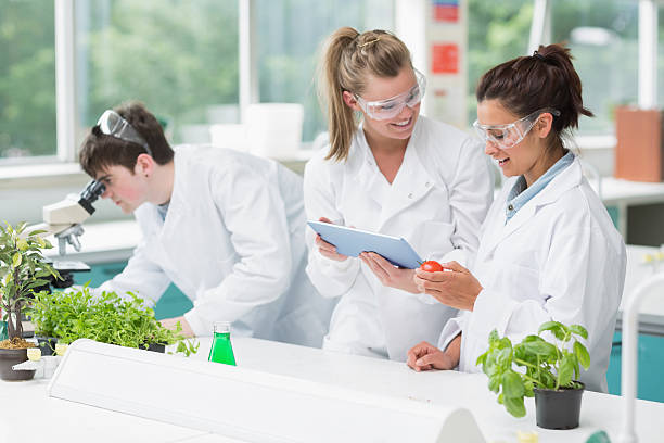 istock Students standing at the biology laboratory smiling 462583677