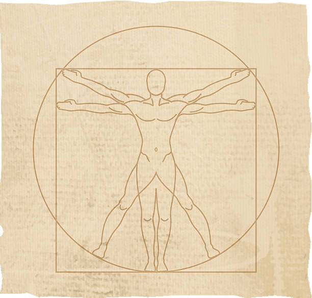 Vitruvian Man Vitruvian Man. leonardo da vinci stock illustrations