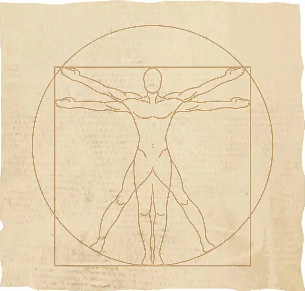 Vector illustration of Vitruvian Man