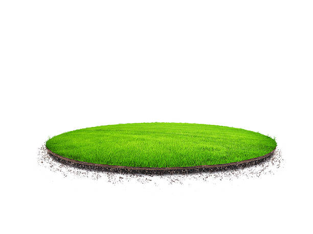istock A patch of green grass floating on a white background 462586653