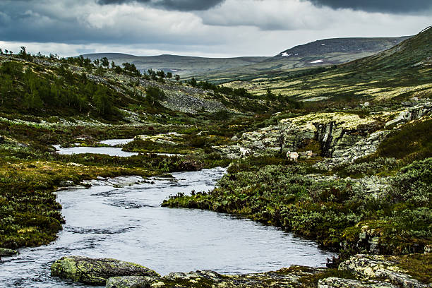 Rondane, Norway mountain river stock photo