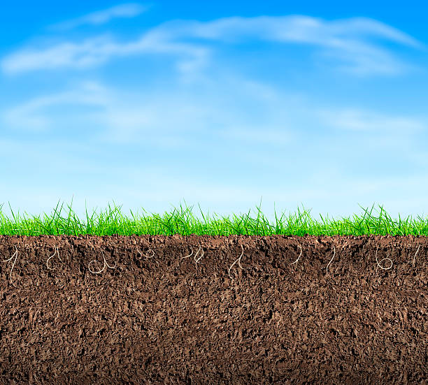 istock Cutaway picture showing soil grass and sky 462595961