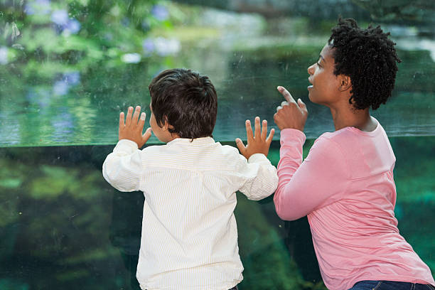istock Mother and son at the zoo 462600149