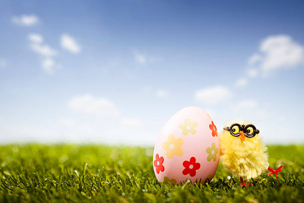 istock Easter Egg With Chicken - Grass Sky Green Nerd Humor 462601785