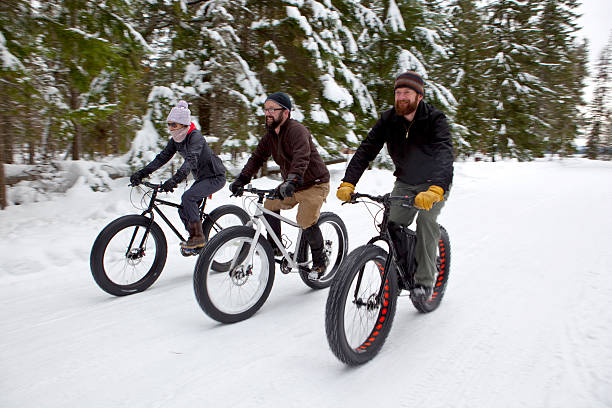 istock Three friends riding their fatbikes in the snow. 462602129