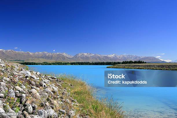 Lake Pukaki And Mount Cook Stock Photo - Download Image Now - Beach, Beauty In Nature, Forest