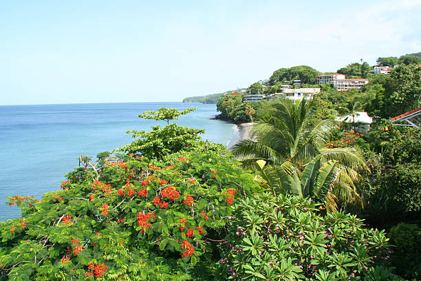 istock Anse collat, Martinique, France 462607911