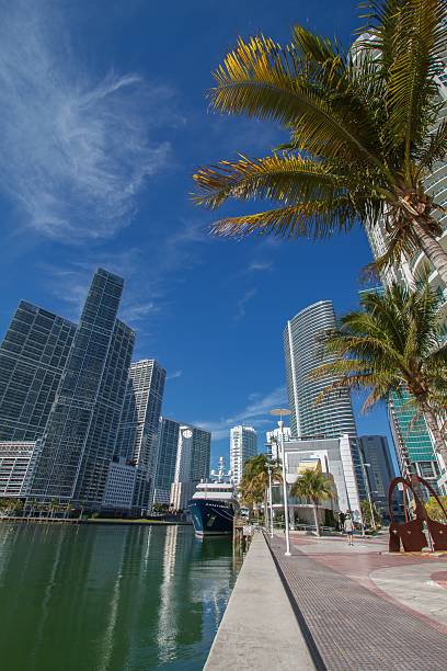 istock Miami downtown river cityscape along the Brickell area 462610795