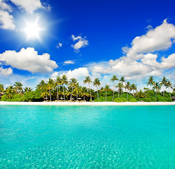 istock tropical island beach with sunny blue sky 462610981