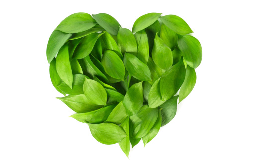 Green heart shape isolated on white