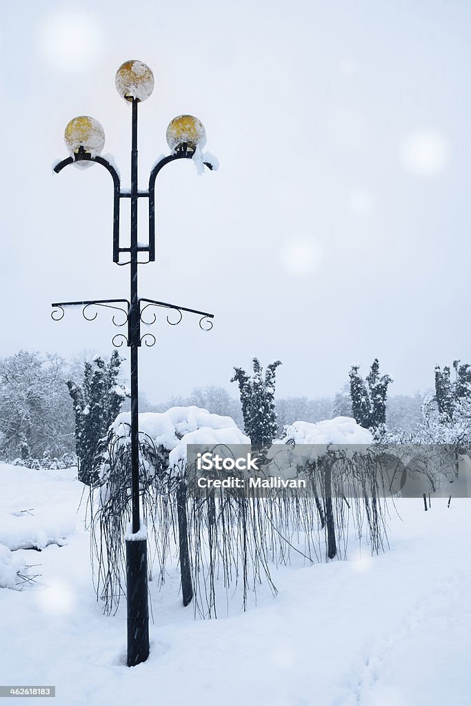 Lampe neben Trauerweide - Lizenzfrei Aussicht genießen Stock-Foto