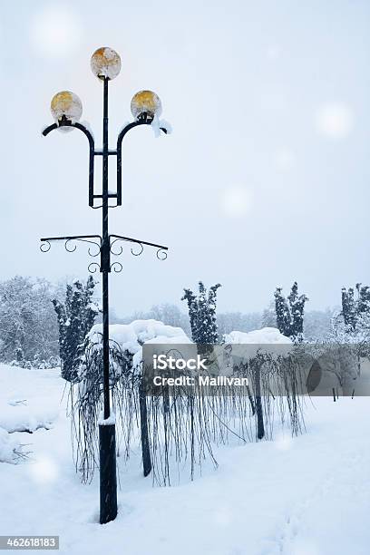 Lampa Obok Wierzba Płacząca - zdjęcia stockowe i więcej obrazów Biały - Biały, Burza, Burza śnieżna