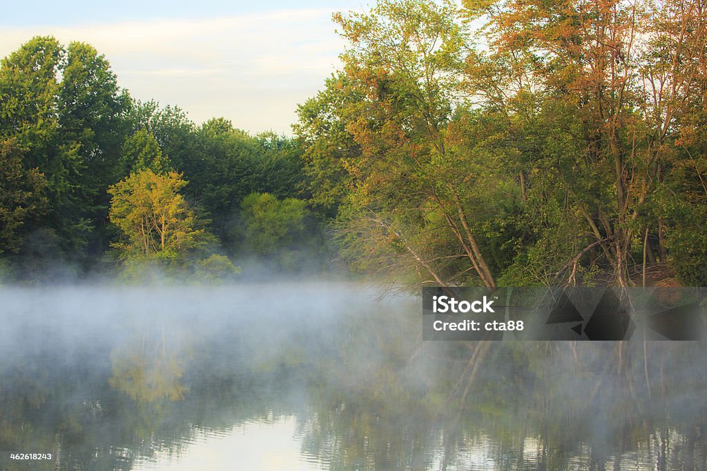 Wcześnie rano Mgła podnoszenie od lake - Zbiór zdjęć royalty-free (Bernikla kanadyjska)