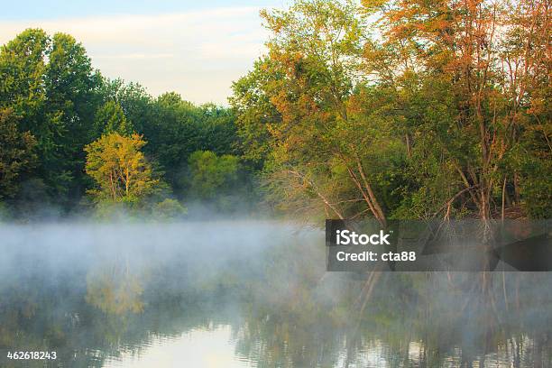 Wcześnie Rano Mgła Podnoszenie Od Lake - zdjęcia stockowe i więcej obrazów Bernikla kanadyjska - Bernikla kanadyjska, Bez ludzi, Drzewo
