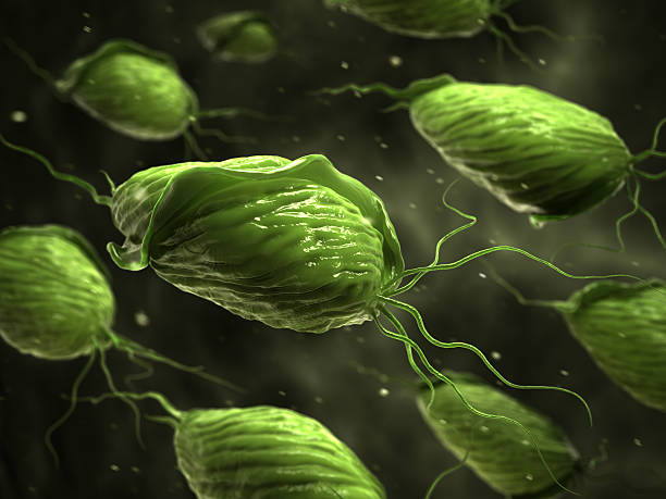 трихомониаз - bacterium magnification high scale magnification green стоковые фото и изображения
