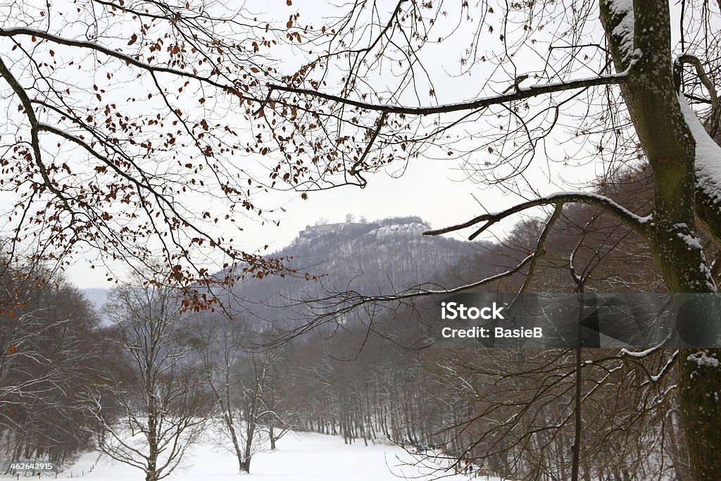 Winter in Deutschland - Lizenzfrei Deutschland Stock-Foto