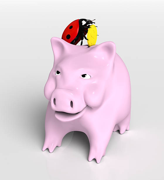 istock Ladybird saves money 462643011
