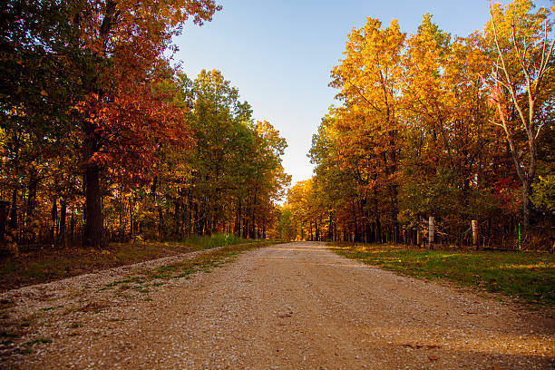 autumn dirt road stock photo