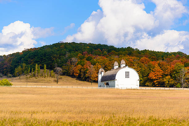 Historical Barn Historical D.H. Day Barn located in Sleeping Bear Dunes National Lakeshore on a sunny autumn day with fall colors in the background. michigan farmland stock pictures, royalty-free photos & images